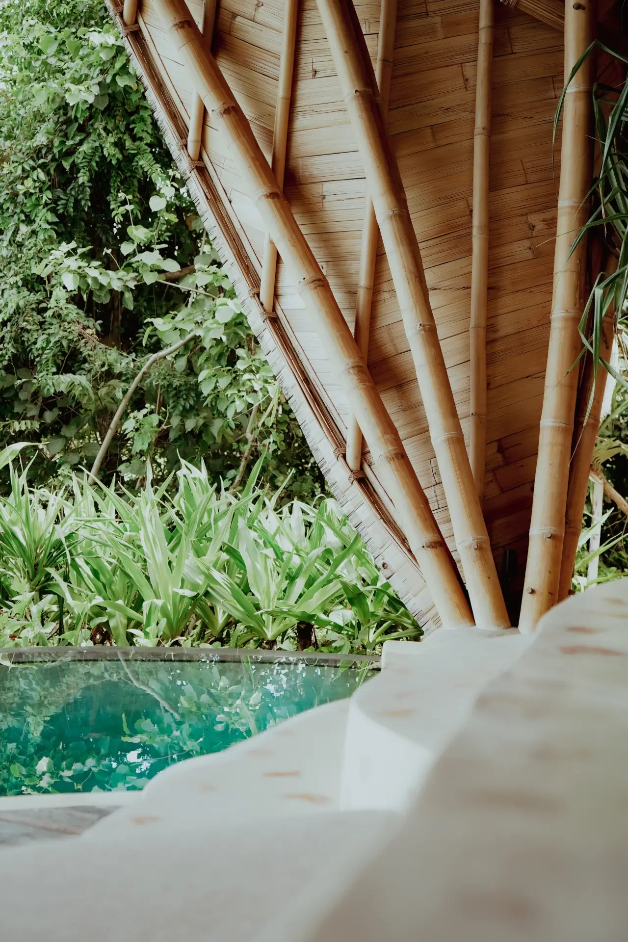Bamboo pool and steps